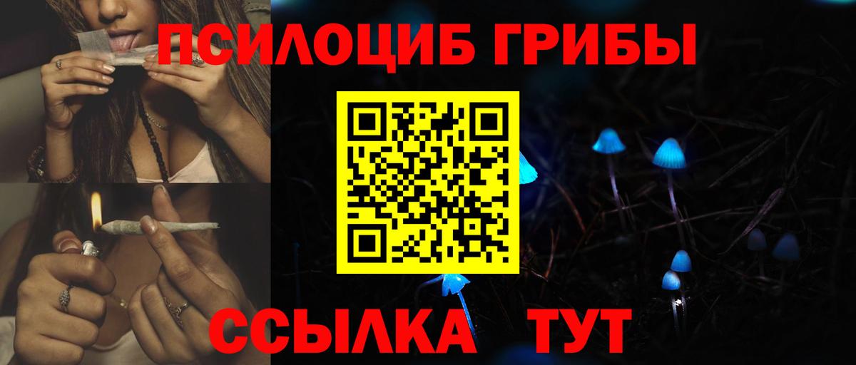 Галлюциногенные грибы Psilocybine cubensis  Вход с VPN  Барнаул 